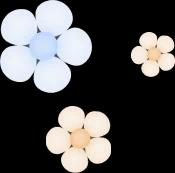 flower image