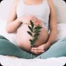 Pregnancy icon