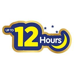 For Upto 12 Hours