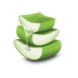 Aloe Vera Icon Komal Care Wipes