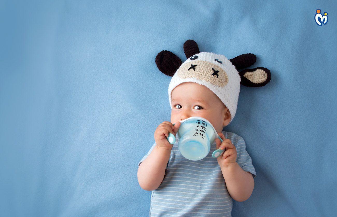 How much and when to feed a new born
