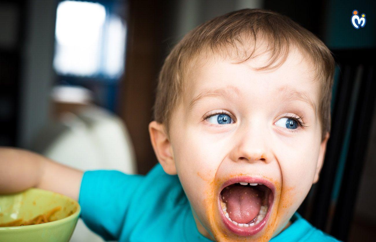 Food Recipes For Fussy Eater Toddlers