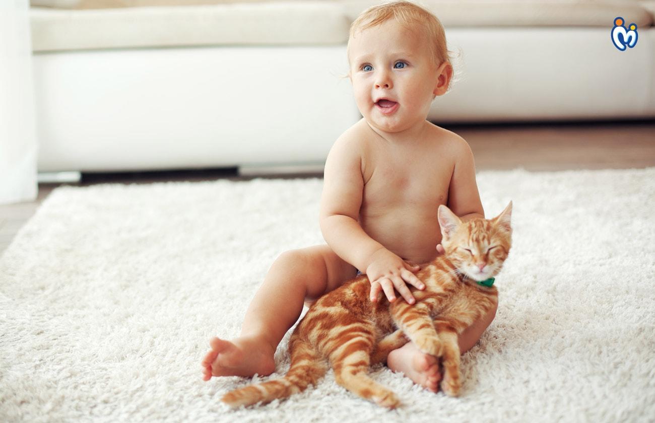 Pros and Cons of having a pet animal at home with your toddler