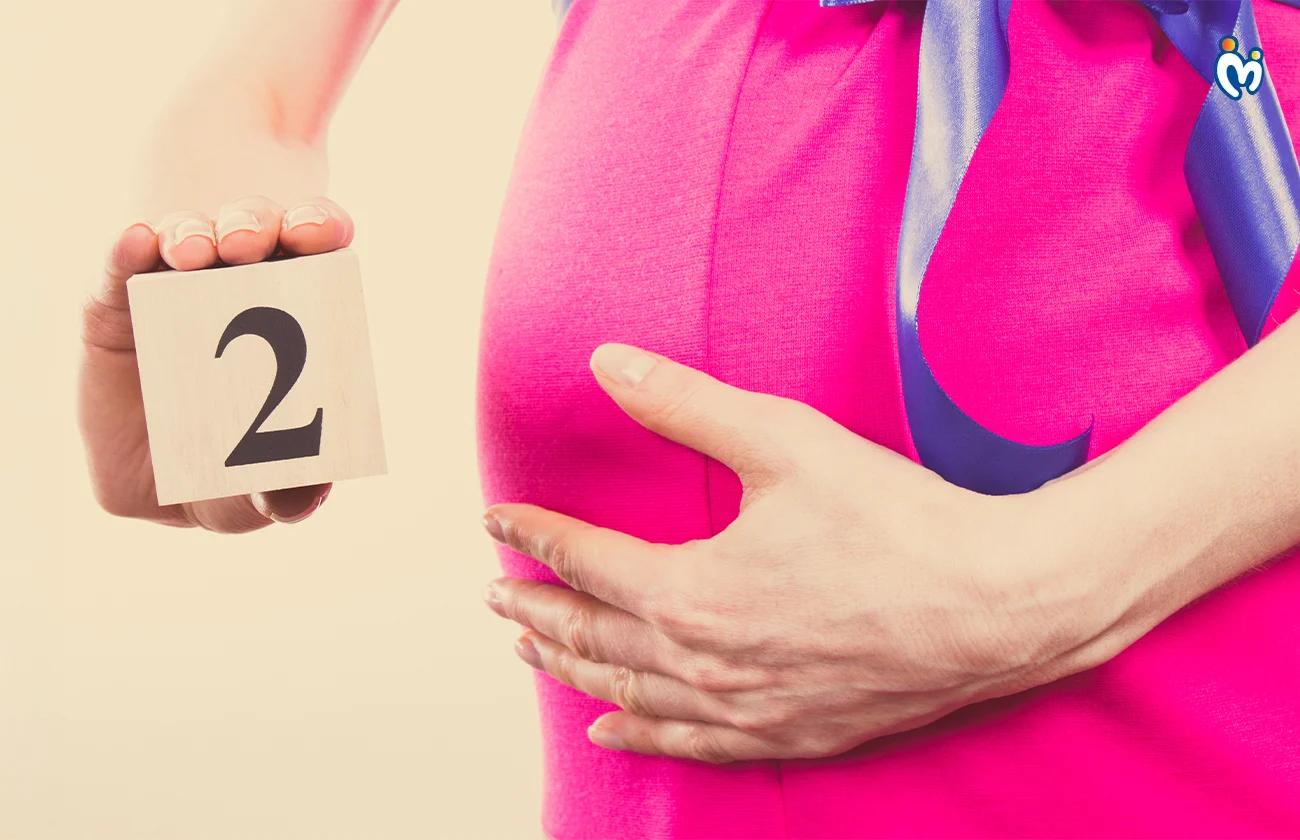 Second Month Pregnancy Guide
