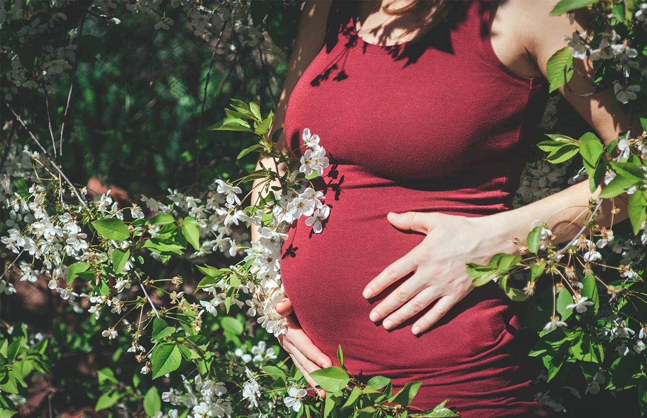 Fifth Month of Pregnancy