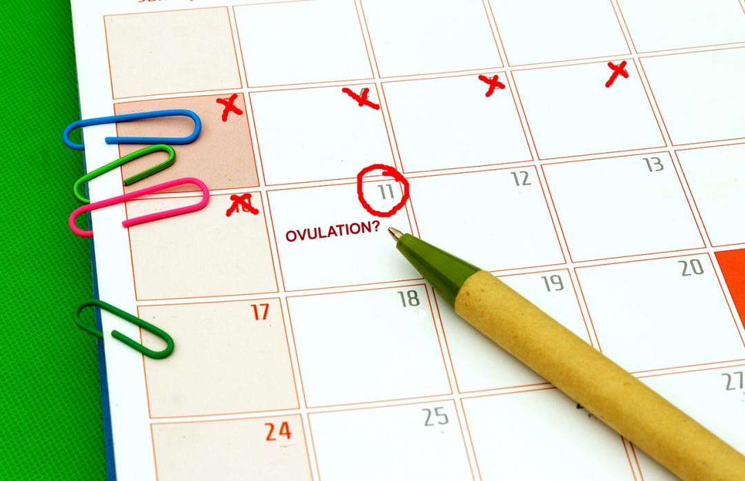 5 Tips to Figure Out Your Fertile Window