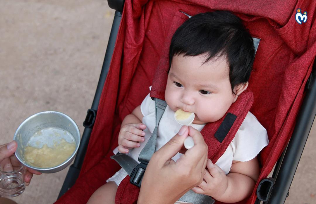 Little Eaters, Big Adventures