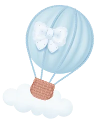 parasout img